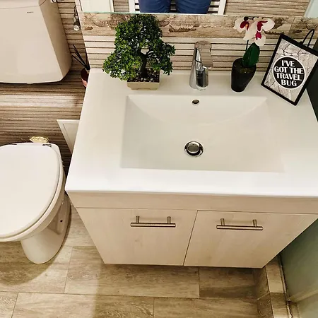 Lägenhet Joy Carei 3