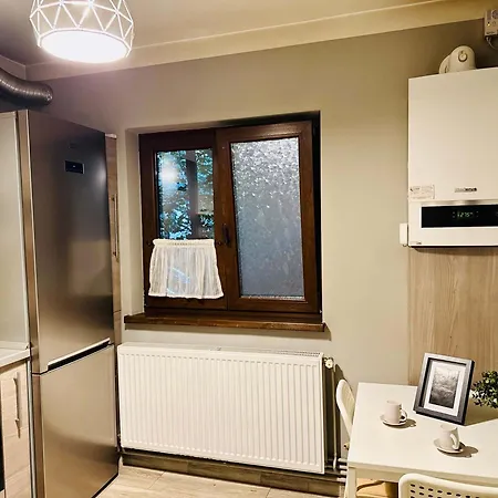 Joy Carei 3 Timişoara