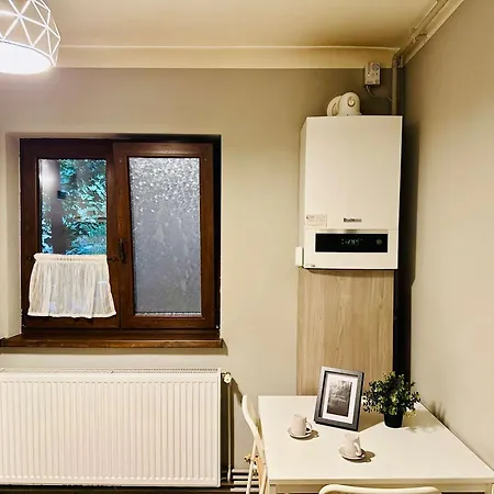 Joy Carei 3 Timişoara