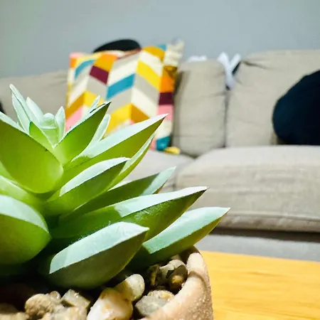 Joy Carei 3 Lägenhet *