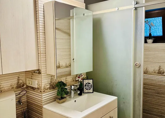 Apartman Joy Carei 3 Temesvár