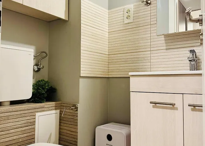 Apartman Joy Carei 3 *