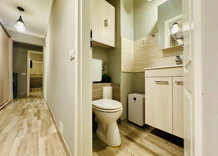 Joy Carei 3 Apartman