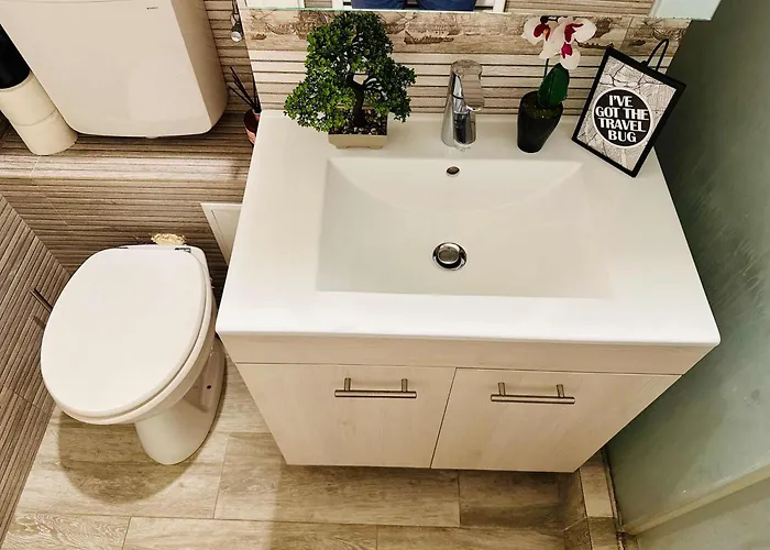 Apartman Joy Carei 3