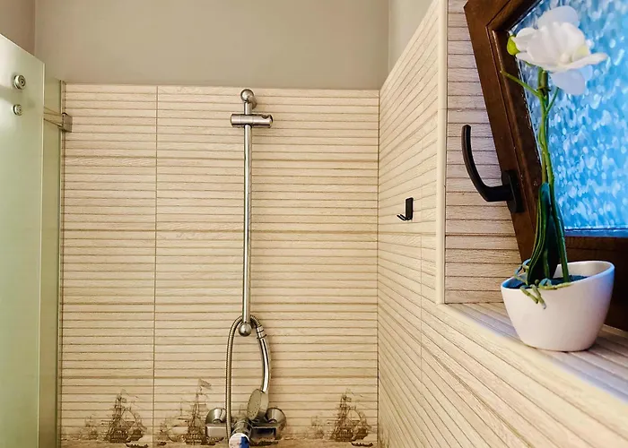 Apartman Joy Carei 3 *