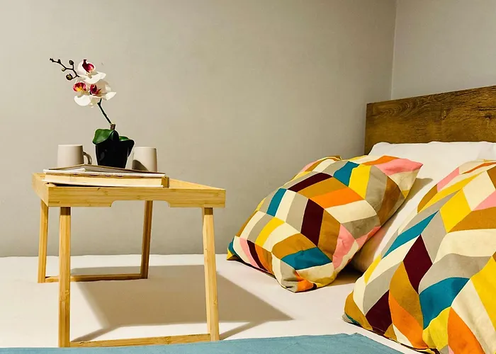 Joy Carei 3 Temesvár