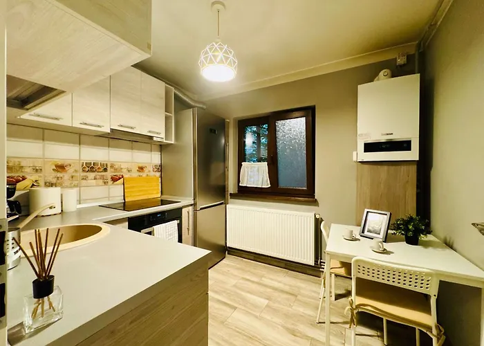 Joy Carei 3 Apartman