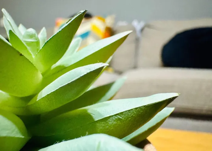 Apartman Joy Carei 3 *