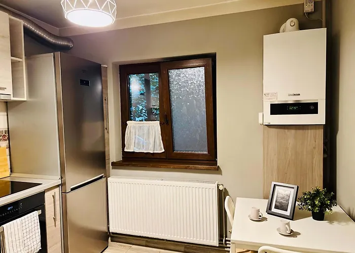 Joy Carei 3 Temesvár