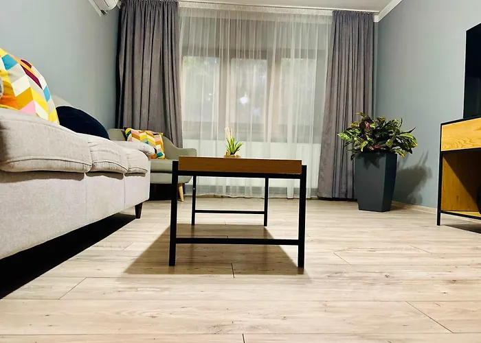 Apartman Joy Carei 3