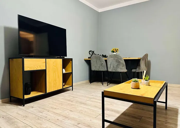 Apartman Joy Carei 3