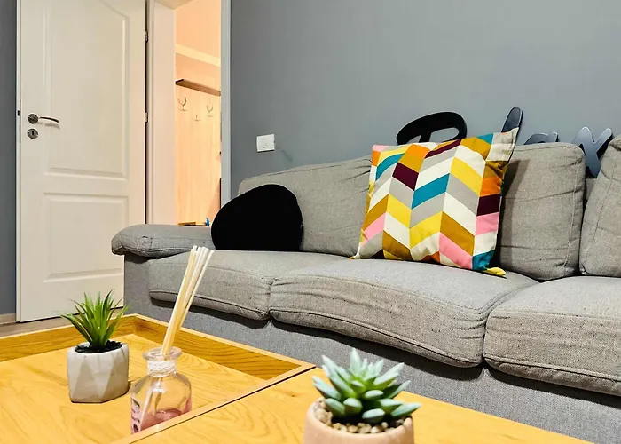 Joy Carei 3 Temesvár