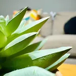 Apartment Joy Carei 3 *