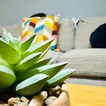 Joy Carei 3 Apartment *